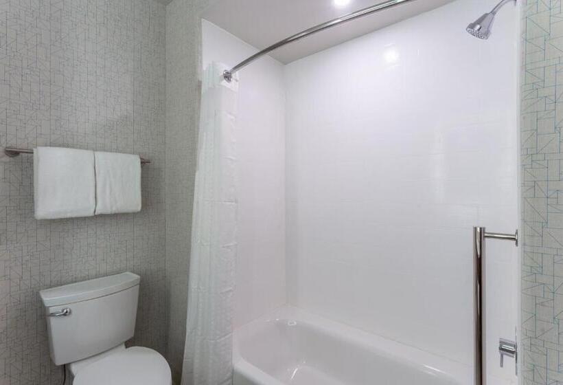 适合残疾人士使用的带超级大床的标准间, Holiday Inn Express Rockford Loves Park, An Ihg