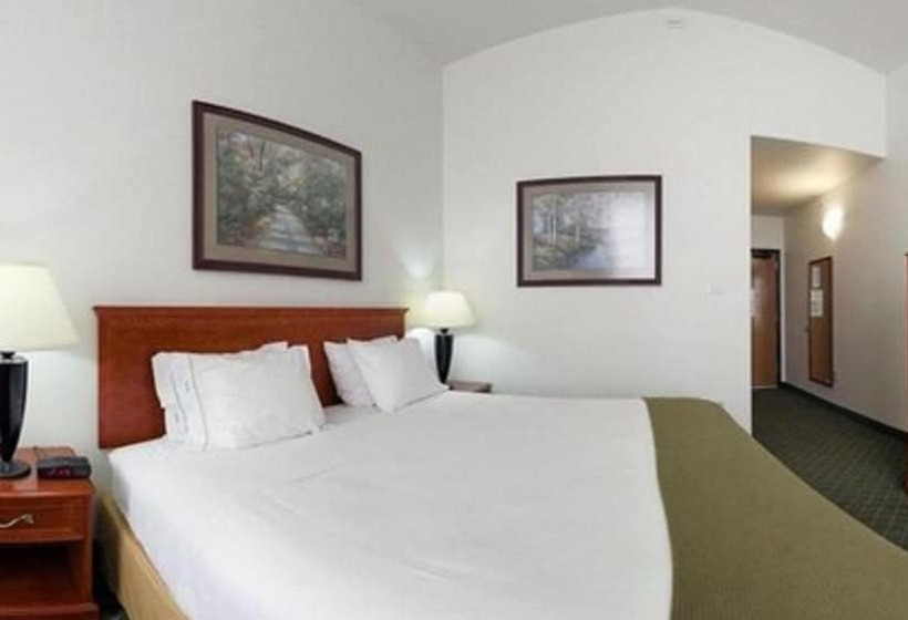标准间, Holiday Inn Express Rockford Loves Park, An Ihg