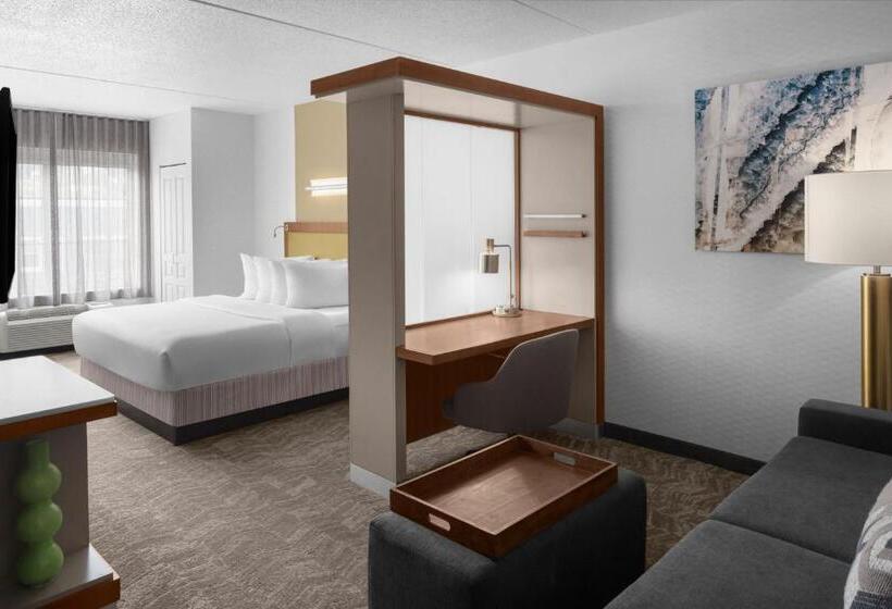استودیو استاندارد با تخت کینگ, Springhill Suites Pittsburgh Southside Works