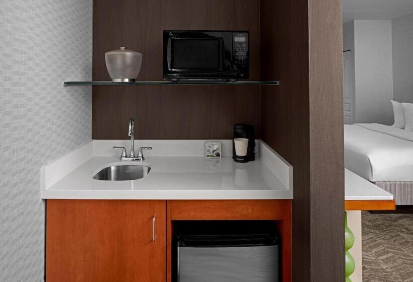 استودیو استاندارد با تخت کینگ, Springhill Suites Pittsburgh Southside Works