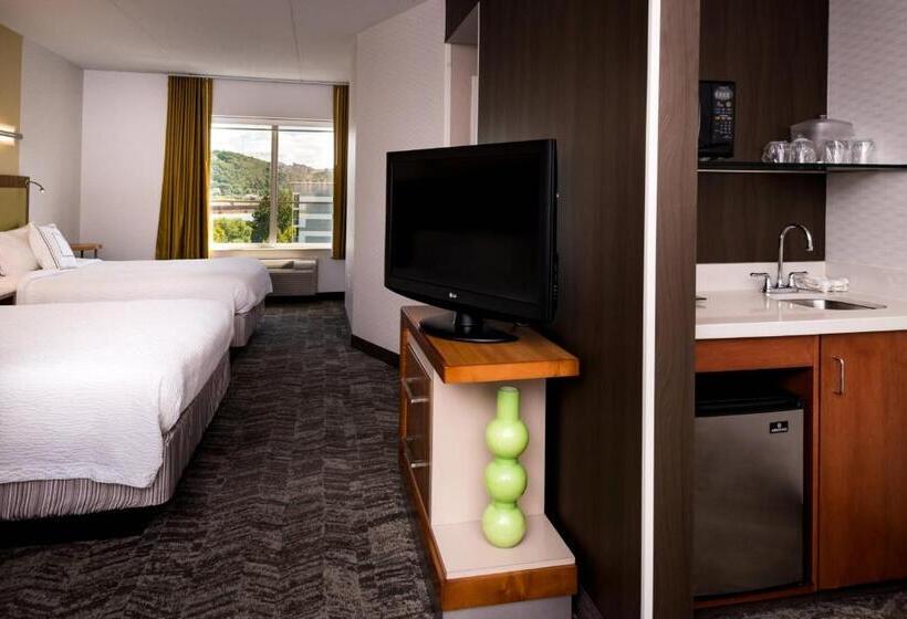 استودیوی استاندارد, Springhill Suites Pittsburgh Southside Works