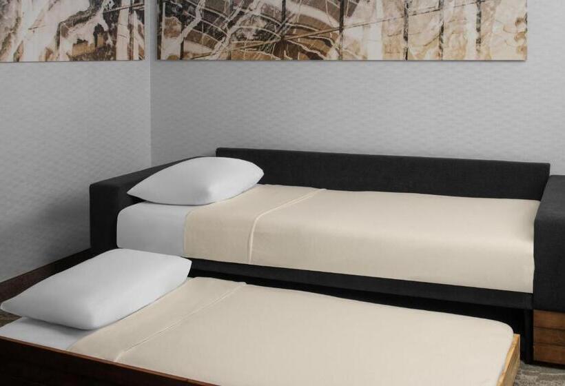 استودیوی استاندارد, Springhill Suites Pittsburgh Southside Works
