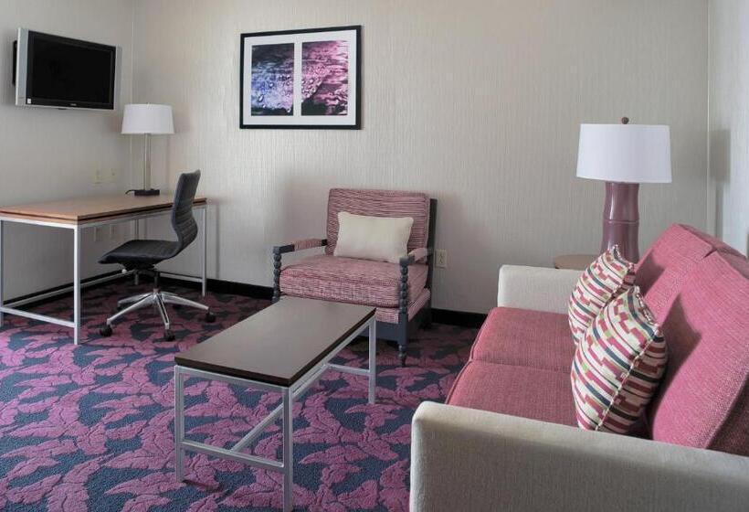 استودیو استاندارد با تخت کینگ, Springhill Suites By Marriott Virginia Beach Oceanfront