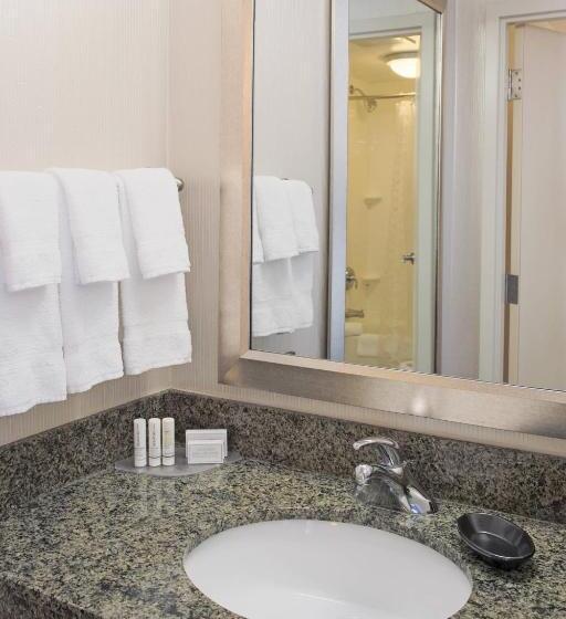 استودیوی استاندارد, Springhill Suites By Marriott Virginia Beach Oceanfront