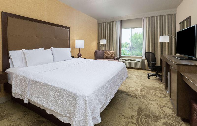 带大床的标准间, Hampton Inn & Suites Yuba City