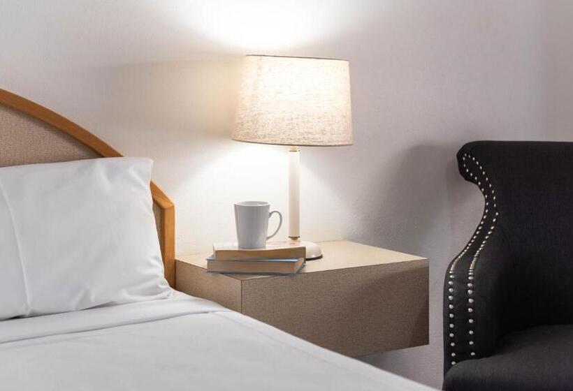 패밀리 스위트, Longreach Motor Inn