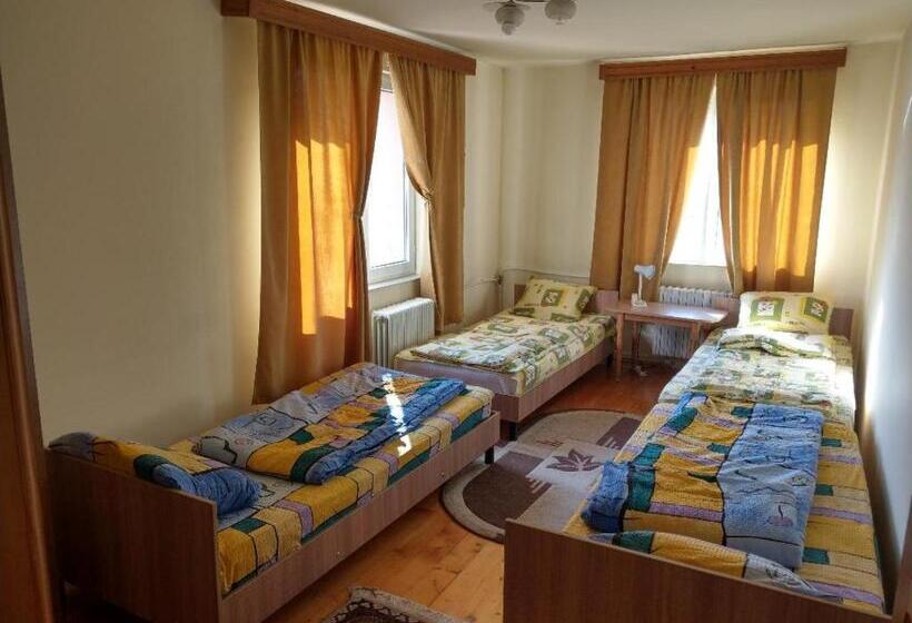 공동 객실, Lary Hostel