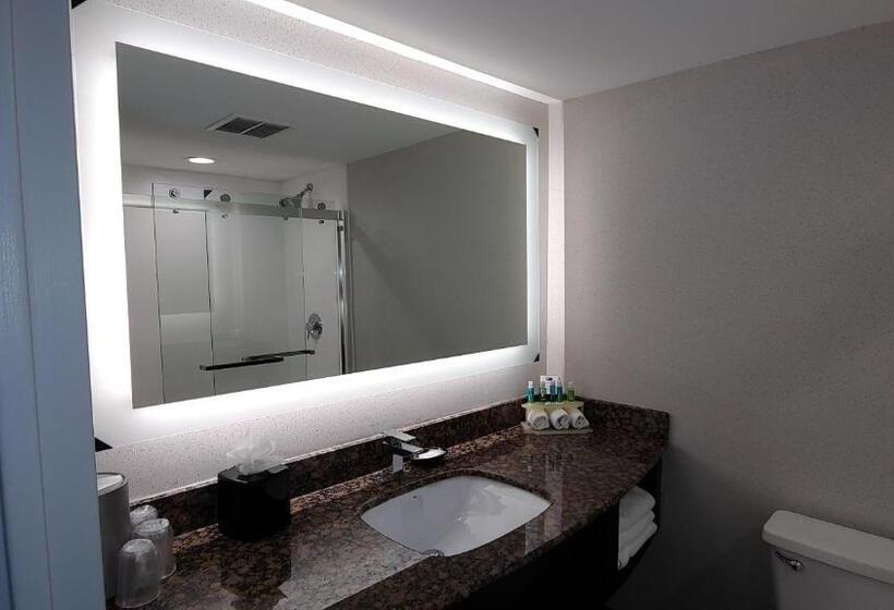 스탠다드 룸 더블 침대 2개, Holiday Inn Express Schaumburg Rolling Meadows, An Ihg