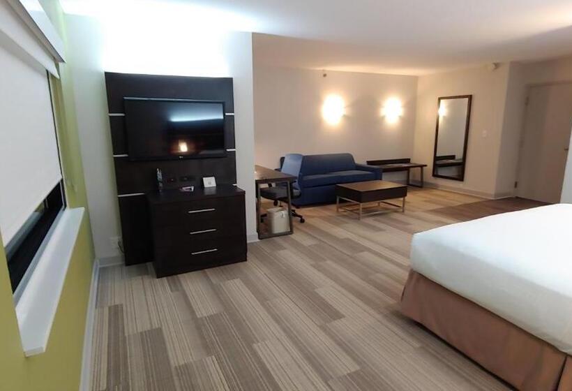스위트, Holiday Inn Express Schaumburg Rolling Meadows, An Ihg
