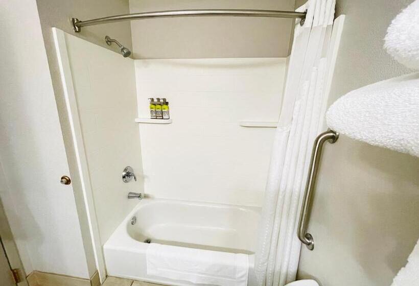 Номер Стандарт, Holiday Inn Express & Suites Shelbyville, An Ihg