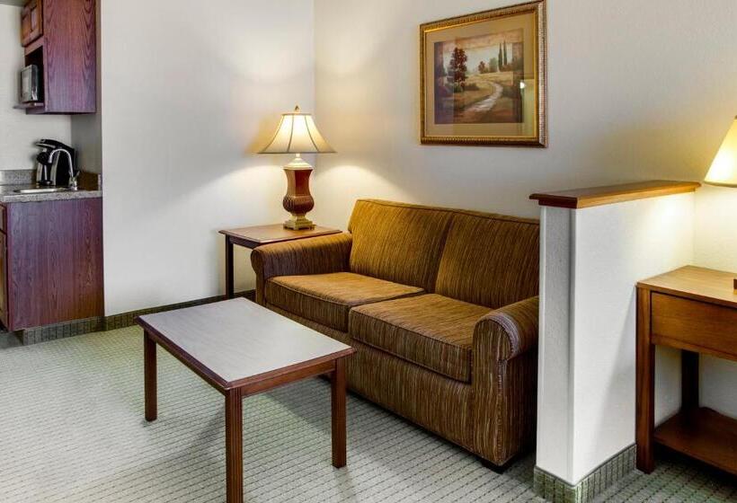 스위트 킹사이즈 침대, Holiday Inn Express & Suites Jacksonville, An Ihg