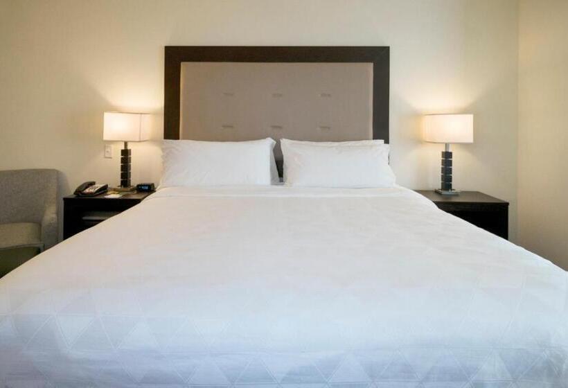 キングサイズベッドのスタンダードルーム, Holiday Inn Hammond, An Ihg