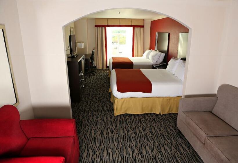 스위트, Holiday Inn Express Hotel & Suites   Sumter, An Ihg