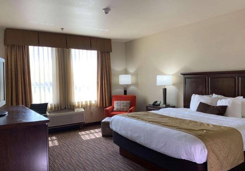 스탠다드 룸 킹사이즈 침대, Holiday Inn Express Hotel & Suites   Sumter, An Ihg