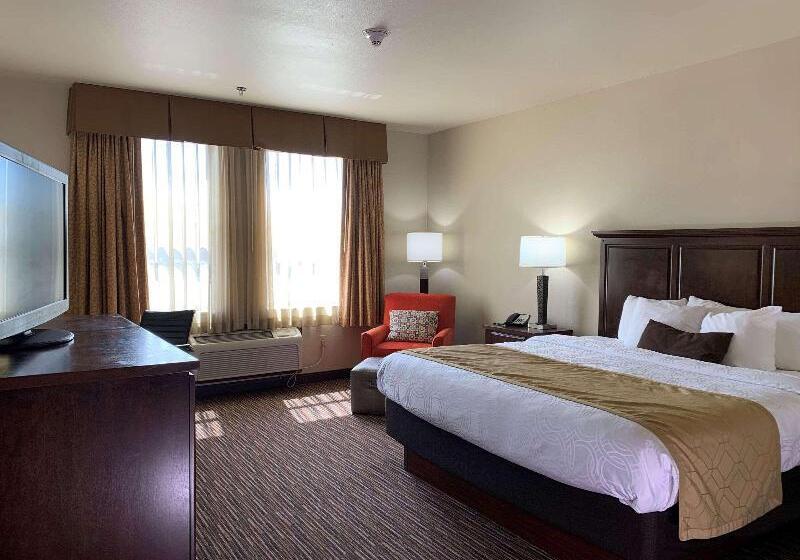 חדר סטנדרט עם מיטת קינג, Holiday Inn Express Hotel & Suites   Sumter, An Ihg