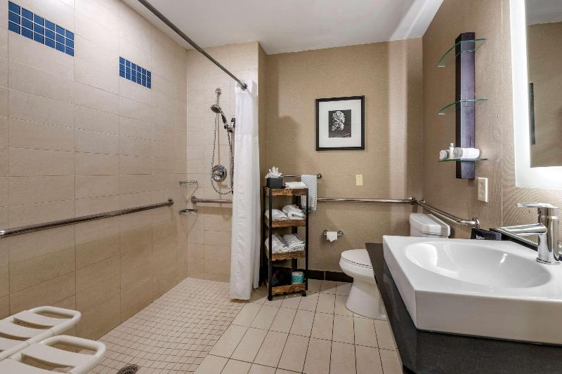 스탠다드 룸 킹사이즈 침대, Holiday Inn Express Hotel & Suites   Sumter, An Ihg