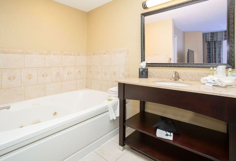 스위트, Holiday Inn Express Hotel & Suites Lexington, An Ihg