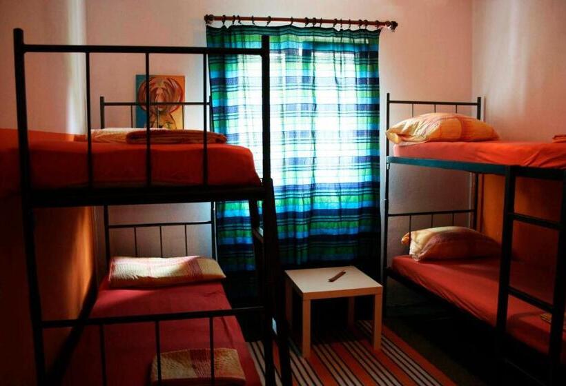 تختخواب در اتاق مشترک, Hostel Anton