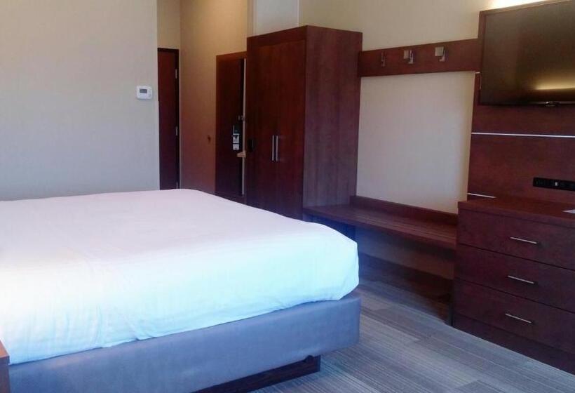 Стандартный Номер Кровать Кинг, Holiday Inn Express & Suites   Miami, An Ihg