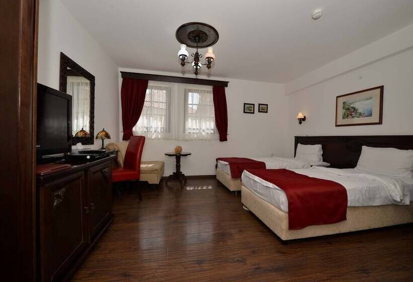 اتاق اکونومی, Villa & Winery Mal Sveti Kliment