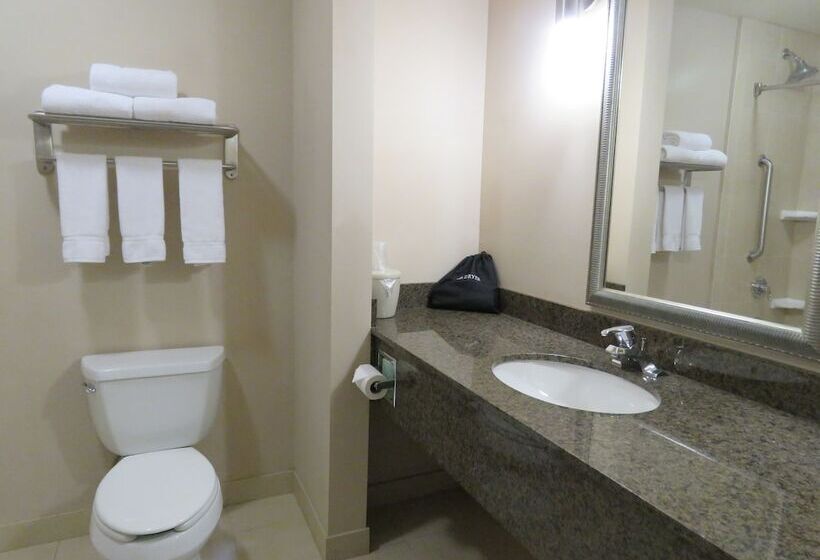 스위트, Holiday Inn Express Hotel & Suites North Sequim, An Ihg
