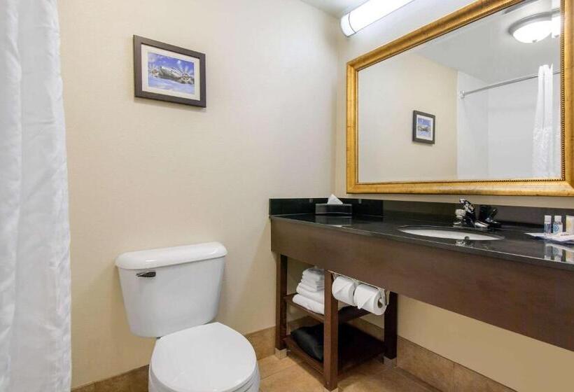 اتاق استاندارد, Comfort Inn & Suites Norman Near University