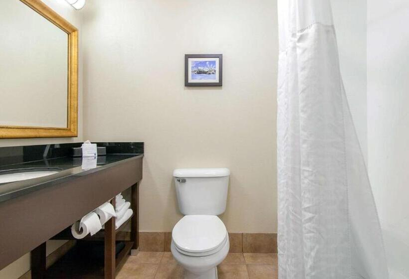 اتاق استاندارد, Comfort Inn & Suites Norman Near University
