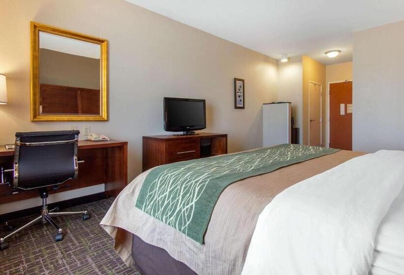 اتاق استاندارد با تخت بزرگ, Comfort Inn & Suites Norman Near University