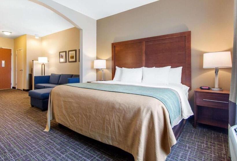 سوئیت با تخت بزرگ, Comfort Inn & Suites Norman Near University