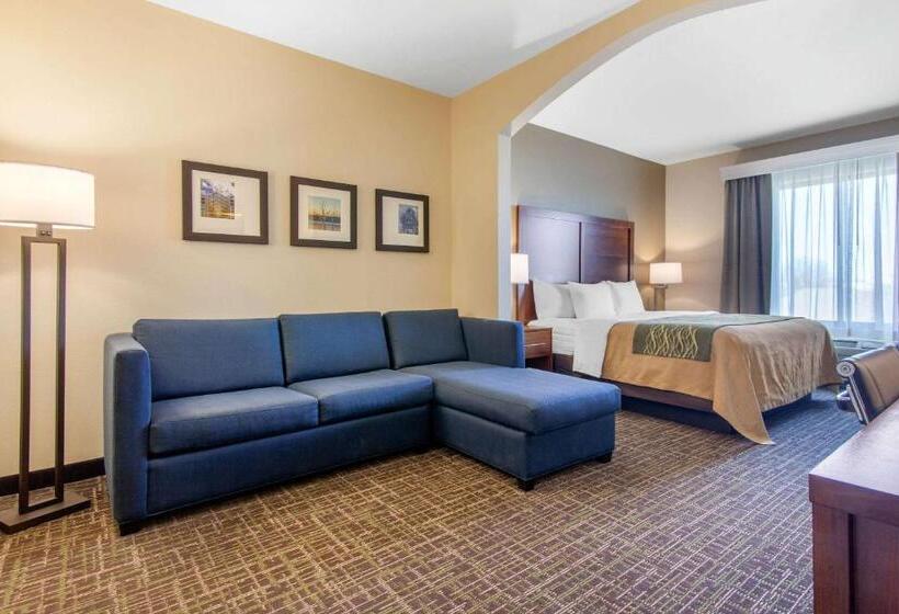 سوئیت با تخت بزرگ, Comfort Inn & Suites Norman Near University