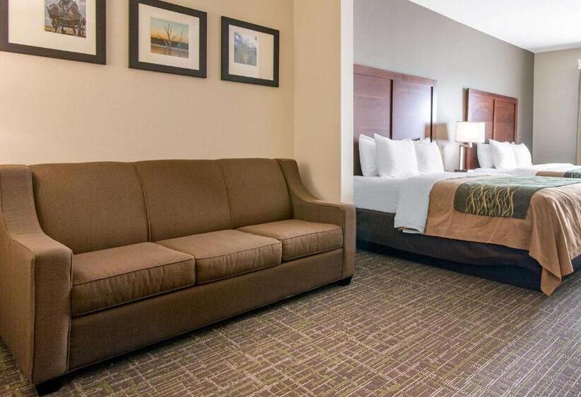 سوییت, Comfort Inn & Suites Norman Near University