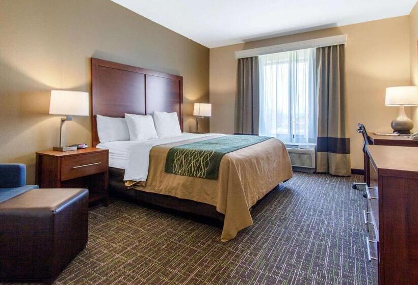 اتاق استاندارد با تخت بزرگ برای معلولان, Comfort Inn & Suites Norman Near University