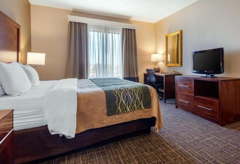 اتاق استاندارد با تخت بزرگ برای معلولان, Comfort Inn & Suites Norman Near University