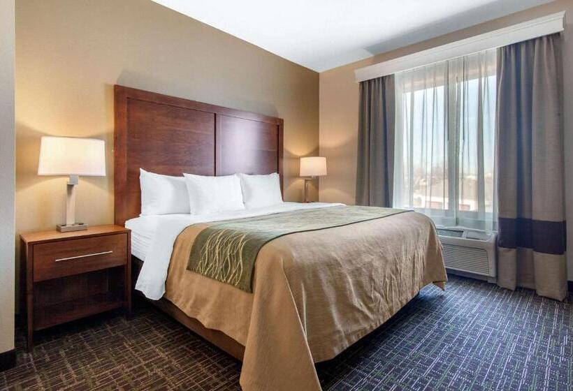 اتاق استاندارد با تخت بزرگ برای معلولان, Comfort Inn & Suites Norman Near University