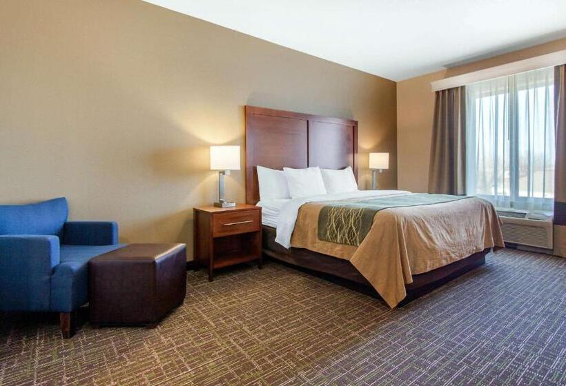 اتاق استاندارد با تخت بزرگ برای معلولان, Comfort Inn & Suites Norman Near University