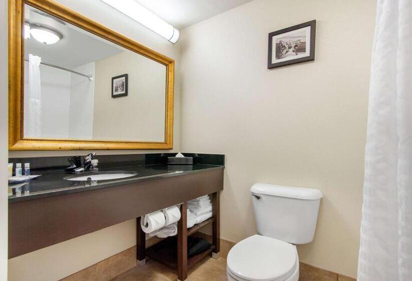 سوییت, Comfort Inn & Suites Norman Near University