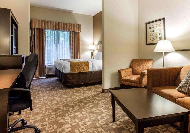 Suíte Cama King, Comfort Suites At Kennesaw State University
