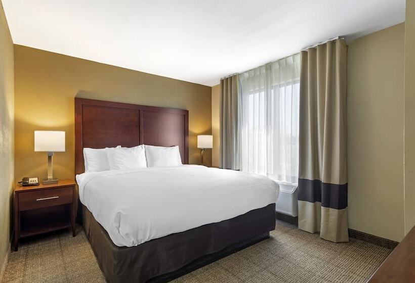 Люкс Адаптированный для Инвалидов, Comfort Suites Locust Grove Atlanta South