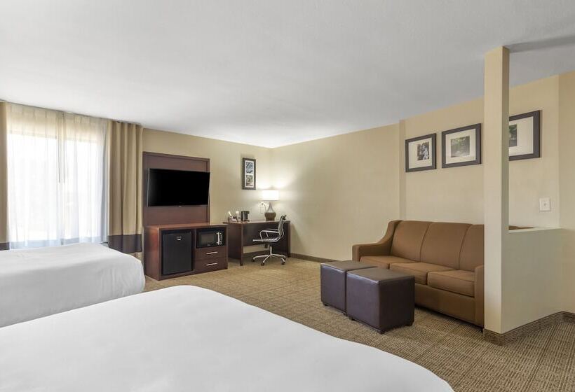 Люкс Адаптированный для Инвалидов, Comfort Suites Locust Grove Atlanta South