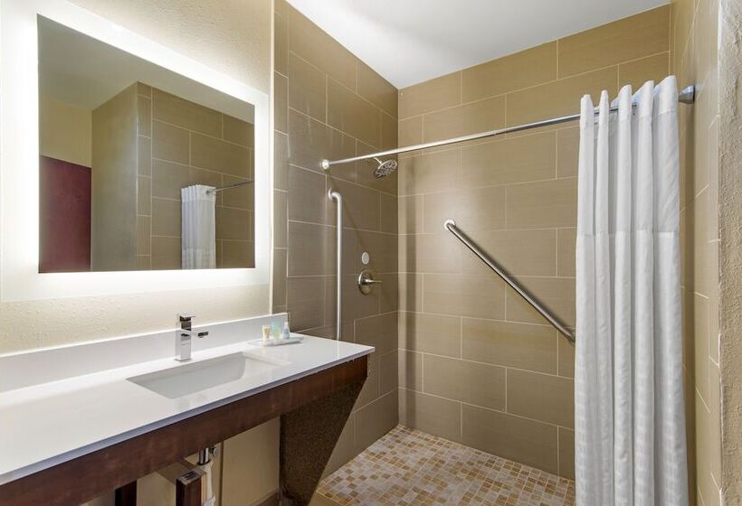 Люкс, Comfort Suites Locust Grove Atlanta South