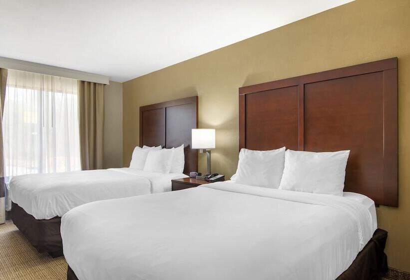 Люкс, Comfort Suites Locust Grove Atlanta South