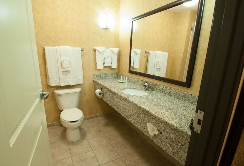 Люкс, Comfort Suites Speedway  Kansas City