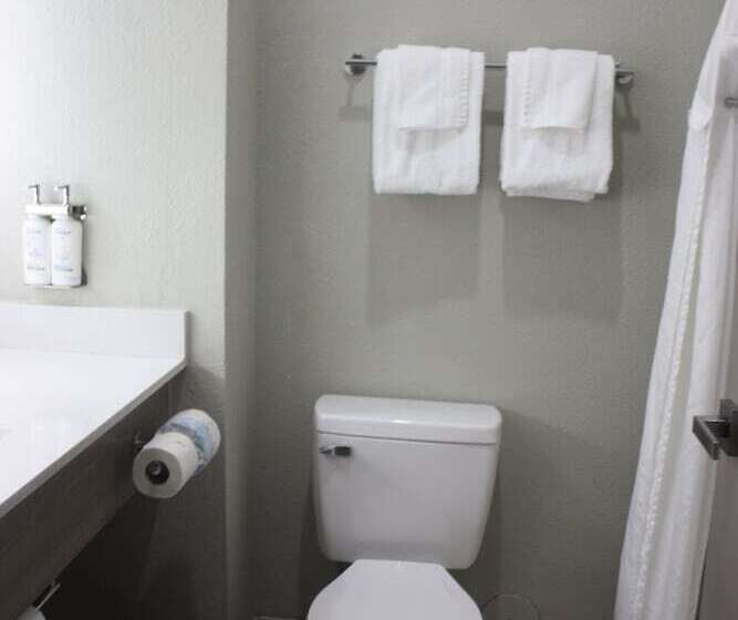 Люкс, Holiday Inn Express Hotel & Suites Shamrock North By Ihg