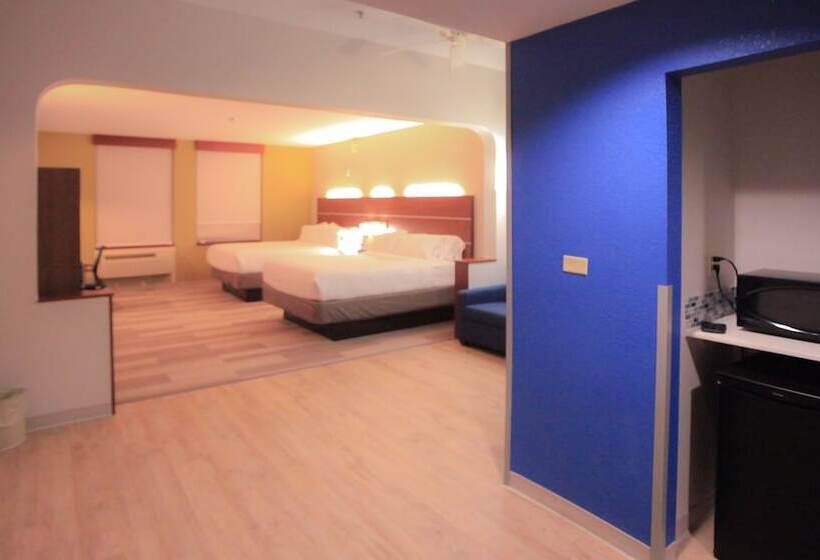 اتاق استاندارد برای معلولان, Holiday Inn Express Daytona Beach   Speedway, An Ihg