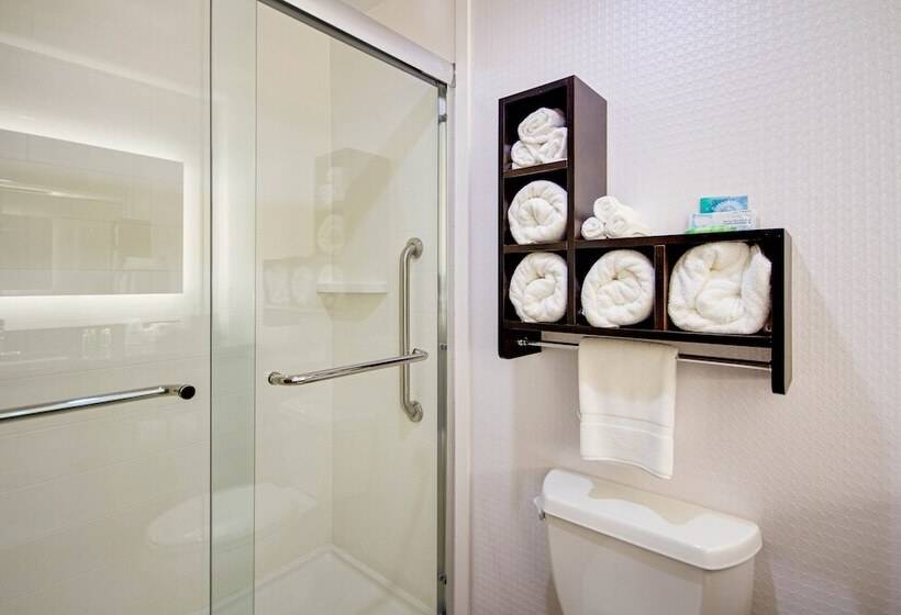 스탠다드 룸, Holiday Inn Express Dublin, An Ihg
