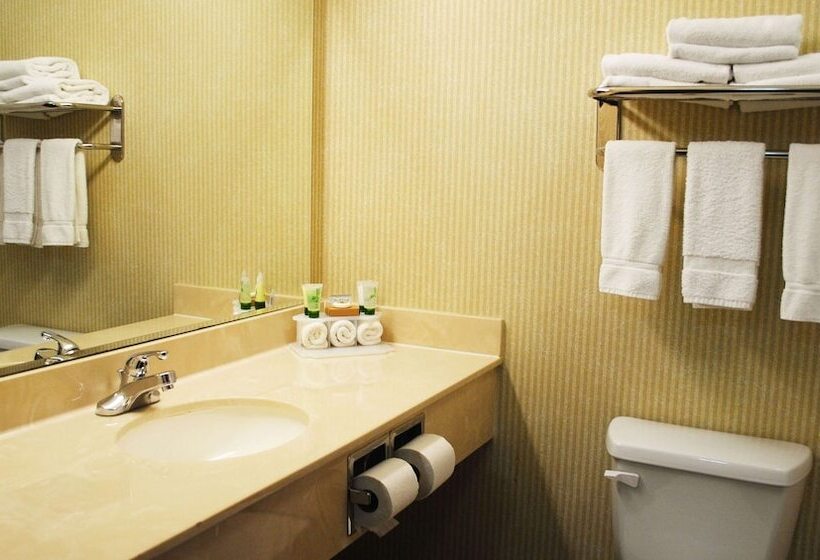 Люкс 2 Спальни, Magnuson Hotel Commerce