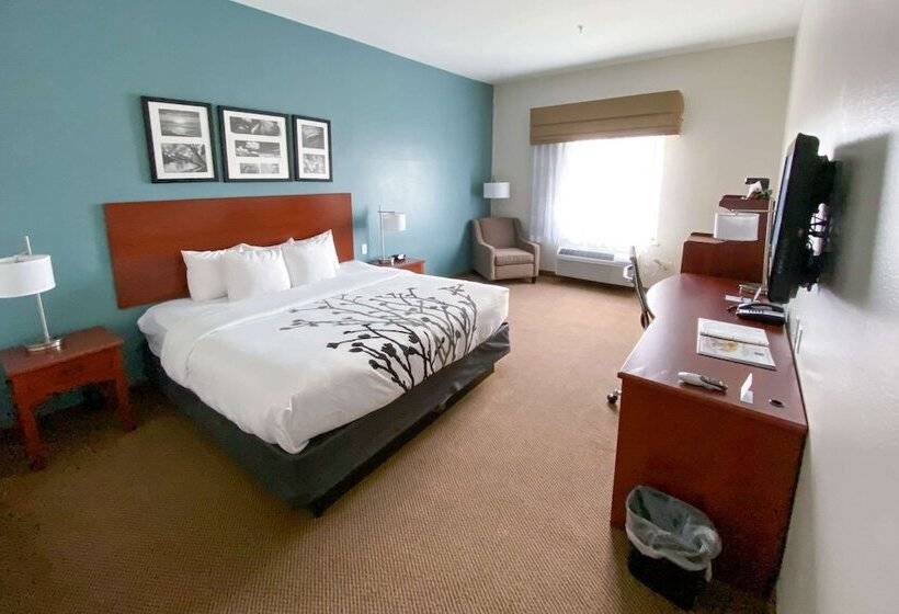 Номер Стандарт Адаптированный для Инвалидов, Sleep Inn And Suites Pearland   Houston South