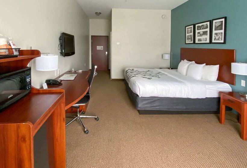 Люкс Адаптированный для Инвалидов, Sleep Inn And Suites Pearland   Houston South