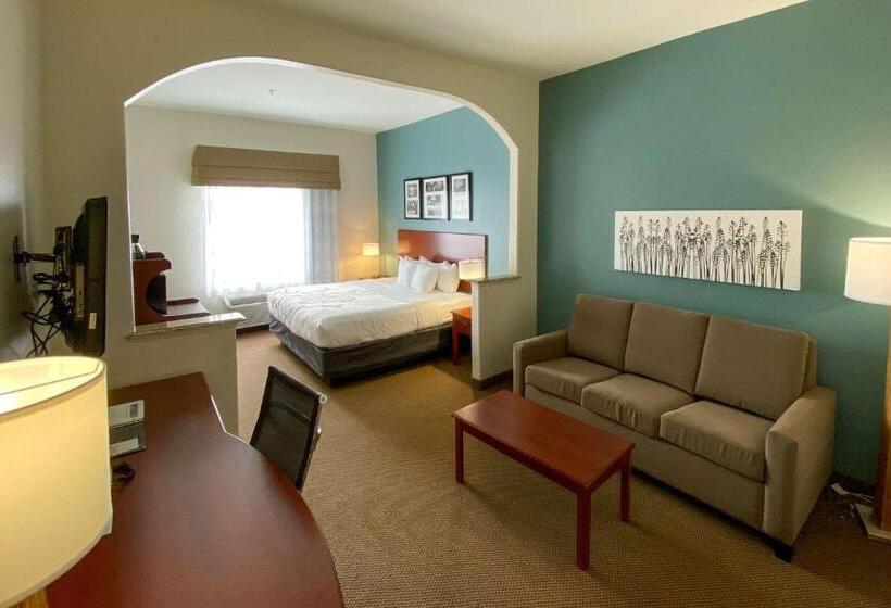Люкс Deluxe Кровать Кинг, Sleep Inn And Suites Pearland   Houston South