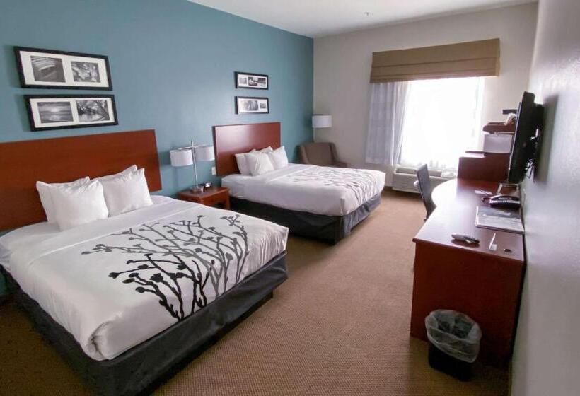 Номер Deluxe, Sleep Inn And Suites Pearland   Houston South